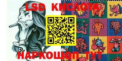 крисы Пенза