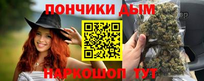 крисы Пенза