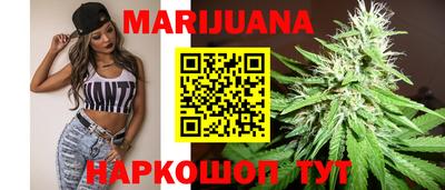 крисы Пенза