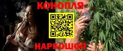 крисы Пенза