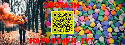 крисы Пенза